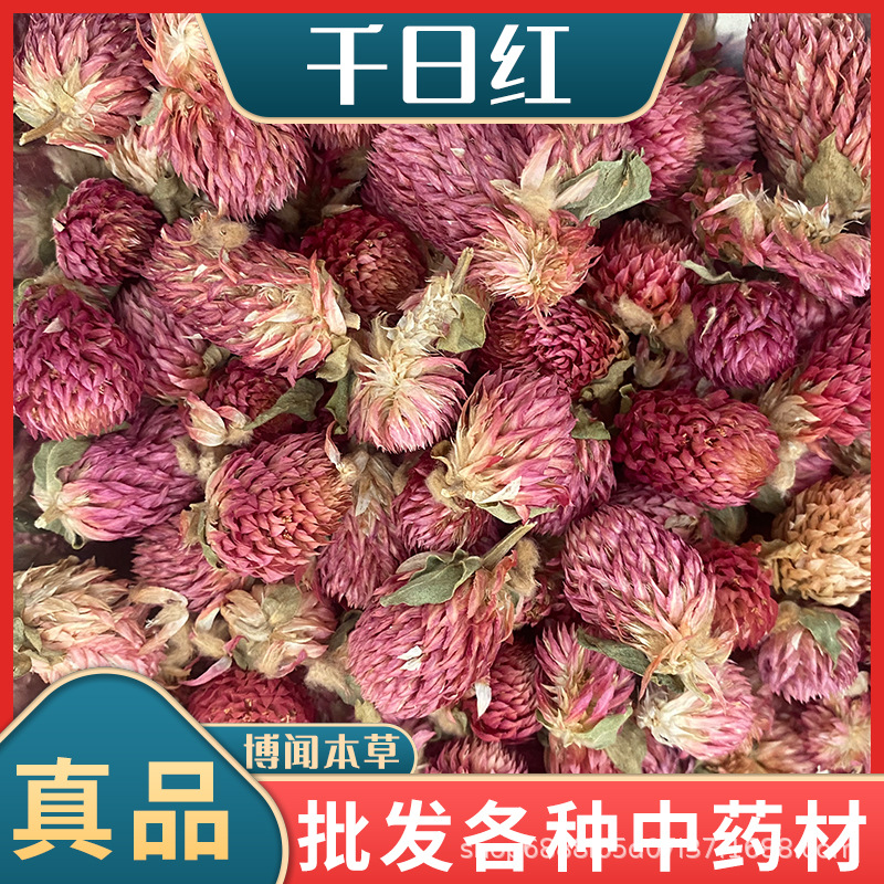 千日红花茶批发 新货散装500g云南千日紫承接大货千日红干花头