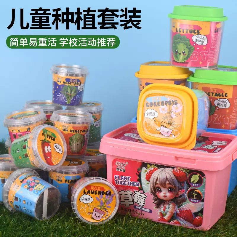 儿童科学实验学生种菜盆栽科教作业DIY手工种植物蔬果生长观察杯