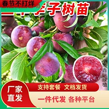 һlAӘtƷNش޽ӷϷNֲˮ