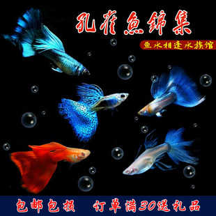 ��ȸ�~���w��ƷС���~�Ꭷ�~�^�p�~�Pβ�~�~��̥���~���~��ˮ��ֳ