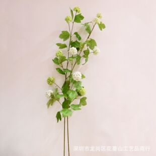 ���滨ѩ����֦ܛ���С�����L֦�����ٻ���Y�û�cС����