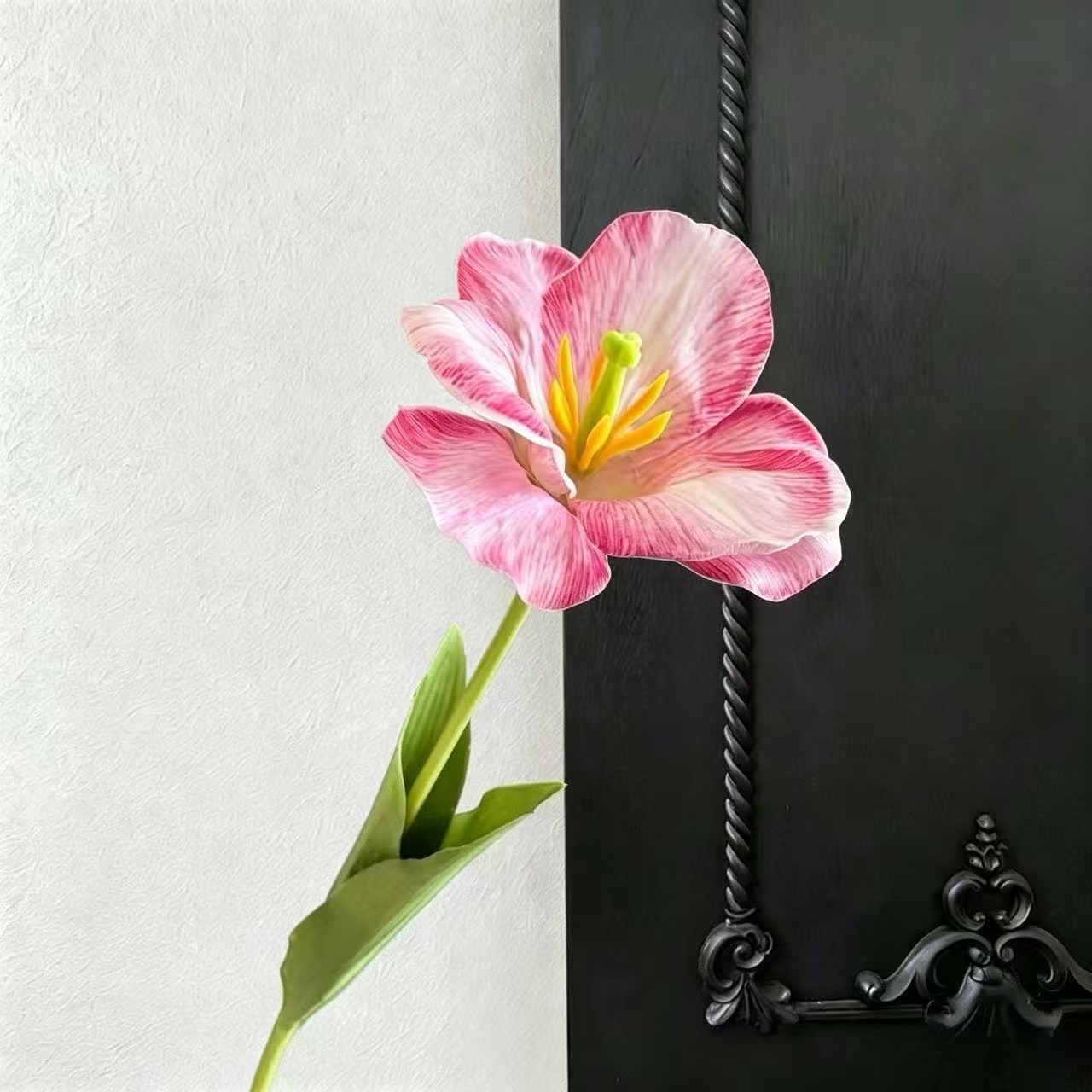 로즈 퍼플