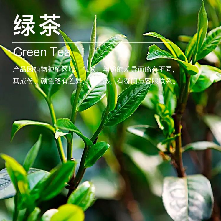 ��Ӧ�̲贿¶ ��Ҷ������ȡ ��¶���� ��ӭ��ѯ��ⱸ��������