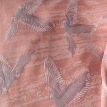 ɫỨЇLQBŮbȹb|и߶˸߶˲ȹ