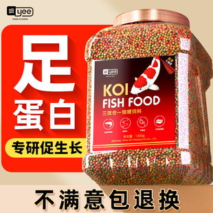 yee Koi food high spirulina guppy fish color particles fish food floating universal fish food fish feed wholesale