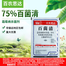 r˼_75%پS˪ùɝԷۄ