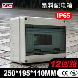 高档ip65等级的12way回路防水防尘ABS新料250*195*110MM塑料配电