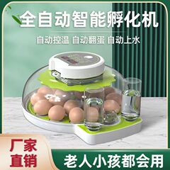 工場卸売、越境専用、小型円盤型家庭用全自動小型孵卵器、家禽用孵卵器