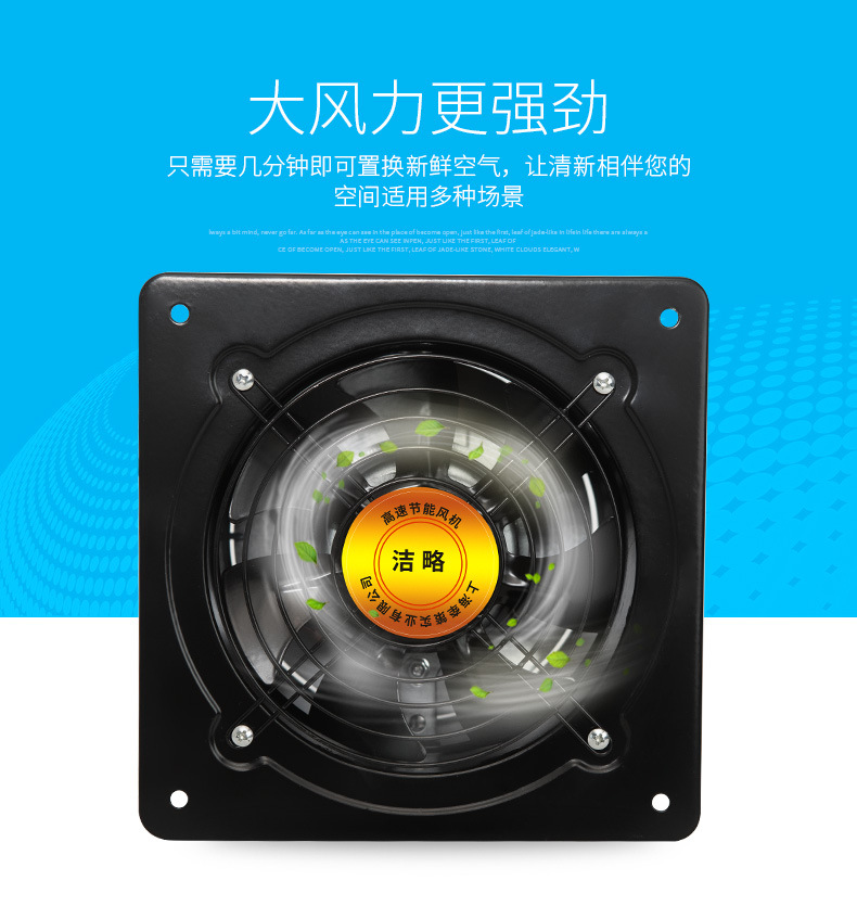 详情5