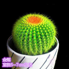 �������������������k������X�p�������ֲ������Gֲ�辰����