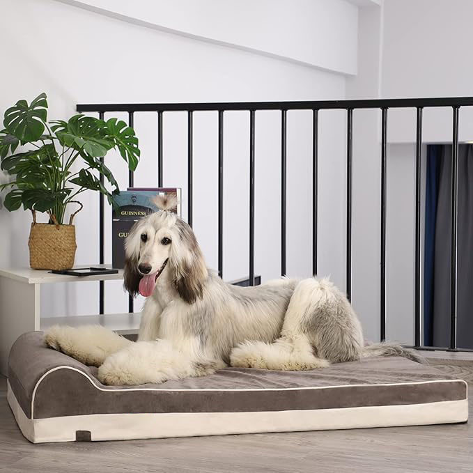 Customized Orthopedic Memory Foam A5 Durable Waterproof Lining and Removable Washable Pillowcase Extra Large Dog Bed with Pillow