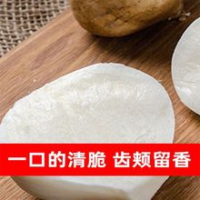 ���Rɽ�عϷN�ӛ����N�������ִ೬ˬ��ˮ���߲˷N���ļ��ϱ��ɷN