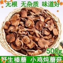 榛蘑东北野生蘑菇榛蘑干货小鸡炖蘑菇无根榛蘑丁新货剪根全年批发