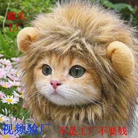 宠物帽子;宠物头饰;仓鼠窝、笼