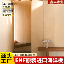 俄罗斯进口全桦木海洋板胶合木板整板环保防潮一水煮不脱胶