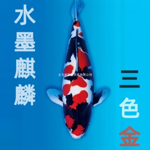 ˮī���� ��ɫ�����\���~���w��ˮ�~�^�p�~���B�ͻ��B�~��ɫ