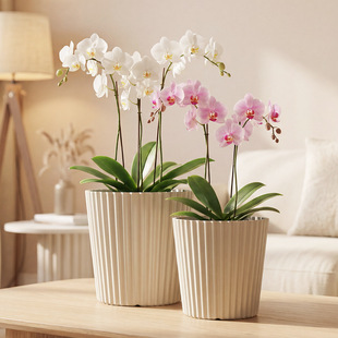 �β�����������s��̖���þG�}���⻨���m�����ú����m���ϻ���