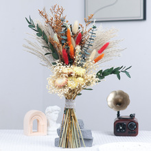 亚马逊跨境批发家居装饰婚礼布置插花摆件芦苇真花潘帕斯干花花束