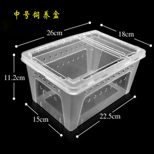 ������B�װ���΁ţС�̈́��﷿�ӸC������B������،m����