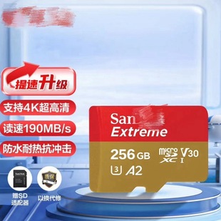 �m��256g�ȴ�sd�����ٟo�˙C���\�����C�O��ӛ䛃xtf�惦��ͨ��