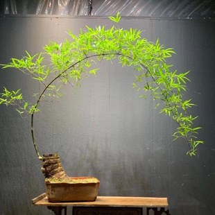 С�~�{���҃��k��������Gֲ�����׻���B�͏d����С�����ϙn��