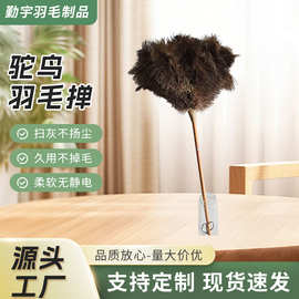 纯手工制作优质木柄进口鸵羽密绒不掉毛防静电扫灰装饰两用可批