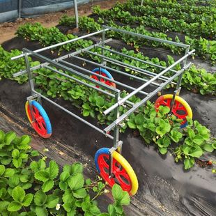 Greenhouse Vegetable and Strawberry Picking Transport New Model Fruit and Vegetable Household Agricultural Push-Pull Cart Transport Vehicle Tool Cart