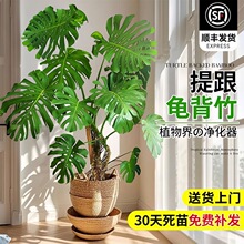 �Ϙ�������͏d��������ؾGֲ����~��������լ�k���҃Ȇ��w���B