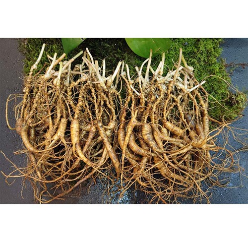 Wholesale 30-year-old fresh wild ginseng from Changbai Mountain, used for making wine and cooking soup, wild ginseng seeds, delivered by SF Express