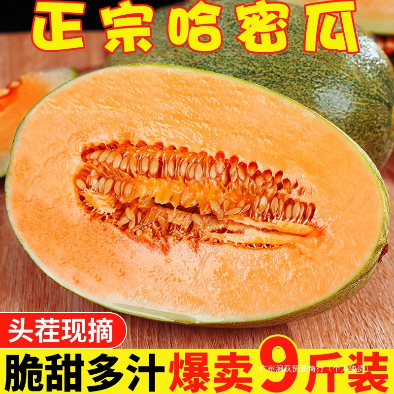 Аутентичная дыня Хами 4.5kg сезонных свежих фруктов, сладкая целая коробка, бесплатная доставка, только что собранная сетчатая дыня Laohan, дыня Xizhou, мед