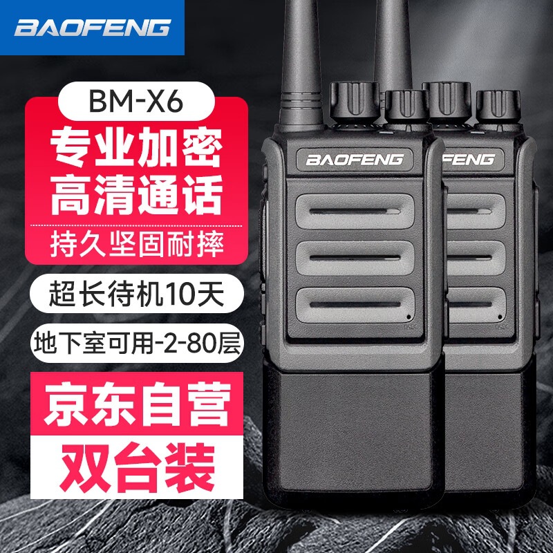 BM-X6 |   암호화된 고출력 [2개 팩]