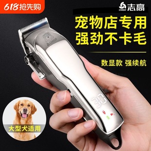 ־�ߌ��I������ë����Ƽ�����Ȯ�޼�������әC���ʌ����