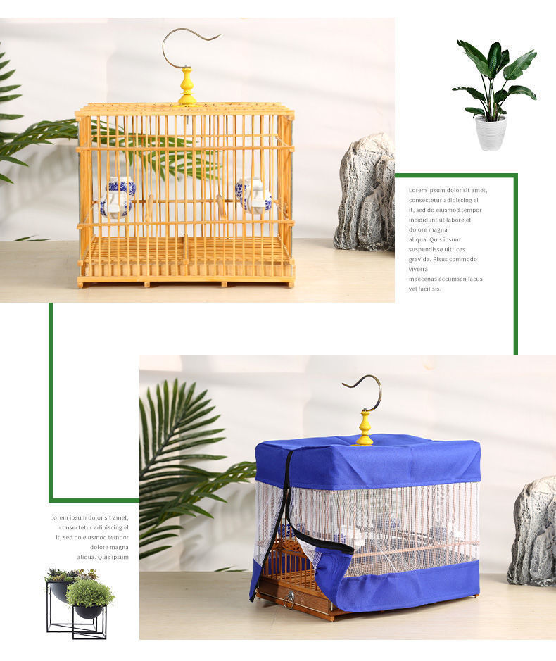 dc75e2b3-ee01-4976-ae5f-1db15a898f0a.jpe