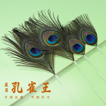 银针大孔雀王大孔雀毛采耳工具芙蓉杵毛大号约26cm采耳师专业套装