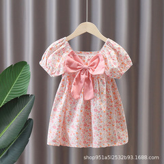 Little Girls' Dress 2024 New Summer Clothes Children Princess Dress Baby Girls Summer Dress Short Sleeve Skirt Children Floral Dress