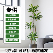 ����Gֲ�콶�F�䙻�����޾Ƶ�͏d��������b��쾰�[�����b�羳