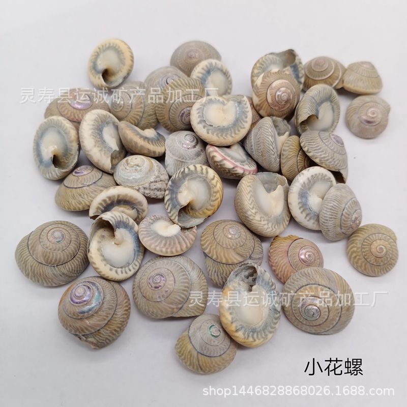 IMG_20210903_142500_副本