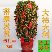 ��ۘ����Ԏ������������Ә�����辰�ļ����҃��̨�ļ��_���Y��