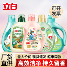 立白洗衣液2斤4斤立白大师香氛洗衣液瓶装量批正品家用批发