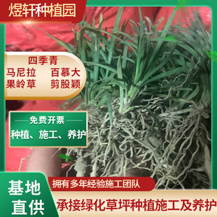 �ձ����������ͺ���̤ͥԺ�@�־G����ƺֲ�ﰫ������߅��������