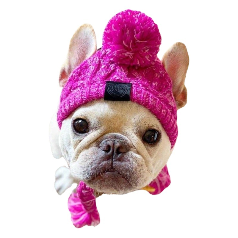 Sombrero de lana para mascotas pequeños, orejas expuestas, abrigo para invierno y otoño, ideal para French Bulldog y Pug
