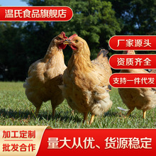 ���ϻ��ͼ�����Ʒ��ũ�ҹ���ɢ���ߵؼ�ĸ���ݼ�800g/ֻ������֤