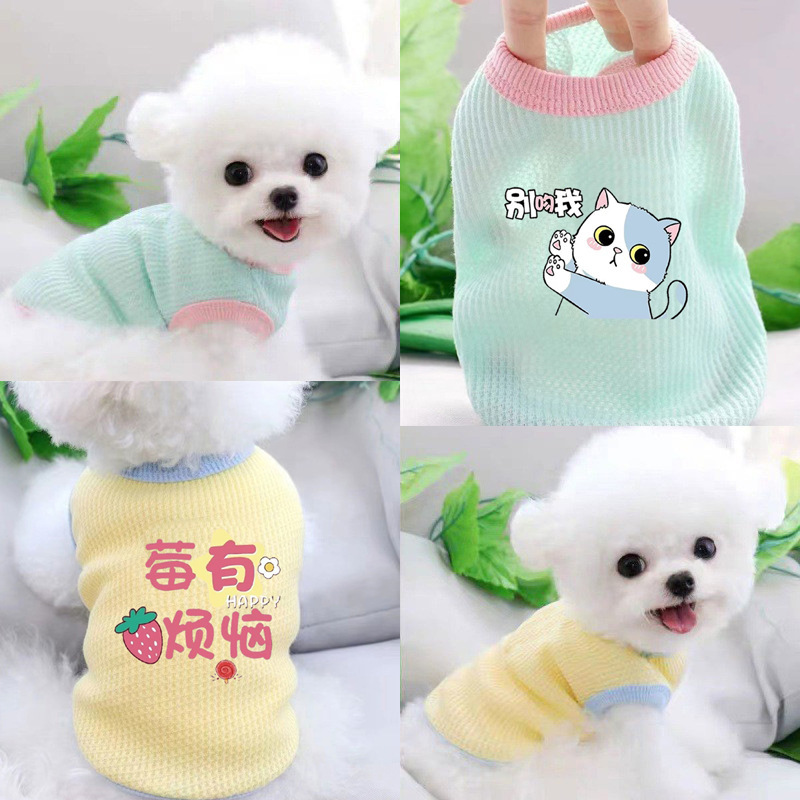 Pet Dog Clothes Spring and Summer Teddy Beaumibi Bear VIP Small Puppy Cat Cat Anti-Hair Thin Vest