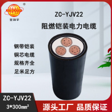 ��h����| yjv22��|��rZC-YJV22 3X300ƽ�� ��ȼ�����|