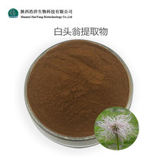 白头翁提取物 水溶性 白头翁粉 现货直供 白头翁皂甙 品质稳定