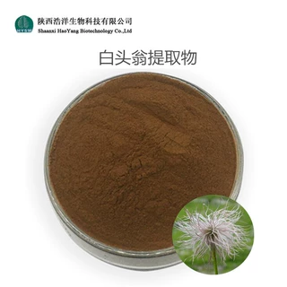白头翁提取物 水溶性 白头翁粉 现货直供 白头翁皂甙 品质稳定