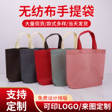 现货无纺布手提袋女装服装店袋子定制可印logo新款网红打包袋批发