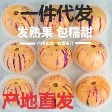 石林人参果新鲜水果10斤大果黄肉云南人叁果树上熟人生果圆果整箱