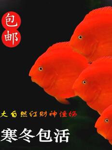 ���ڼtؔ���~ ؔ���W�^�~������^�tؔ���~ �t�W�^�~���w �lؔ�~