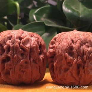 �F�ڿ̺��^����Ҙ����؎X�����y������X�y�����С�Һ���䮔��